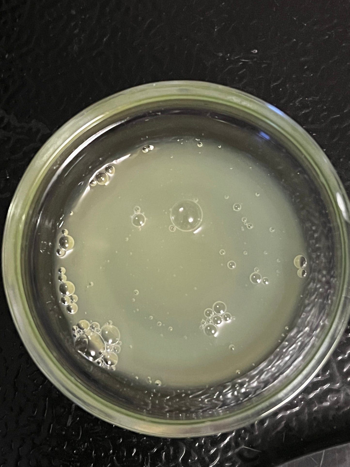 Red Algae Extract & Yeast Ferment Extract - Red Algae - Astaxanthin - Acne - Anti-Aging