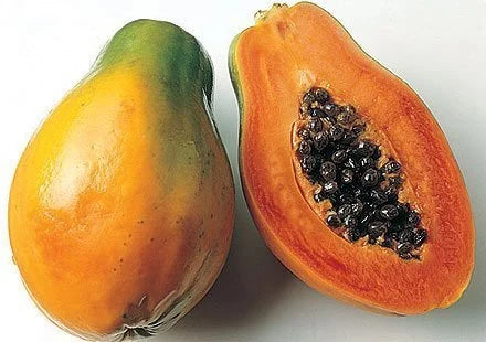 Papaya Extract